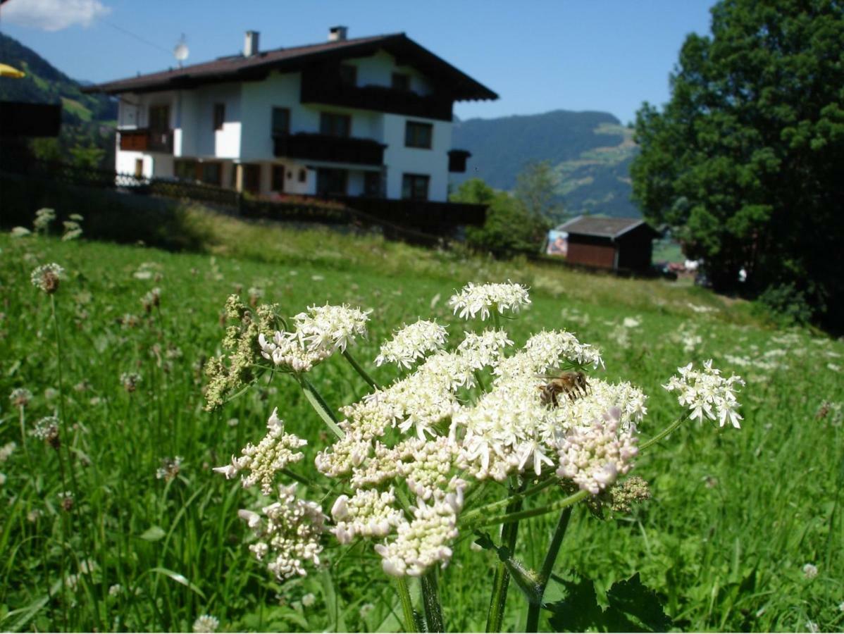 Appartement Hollaus Fügen Dış mekan fotoğraf